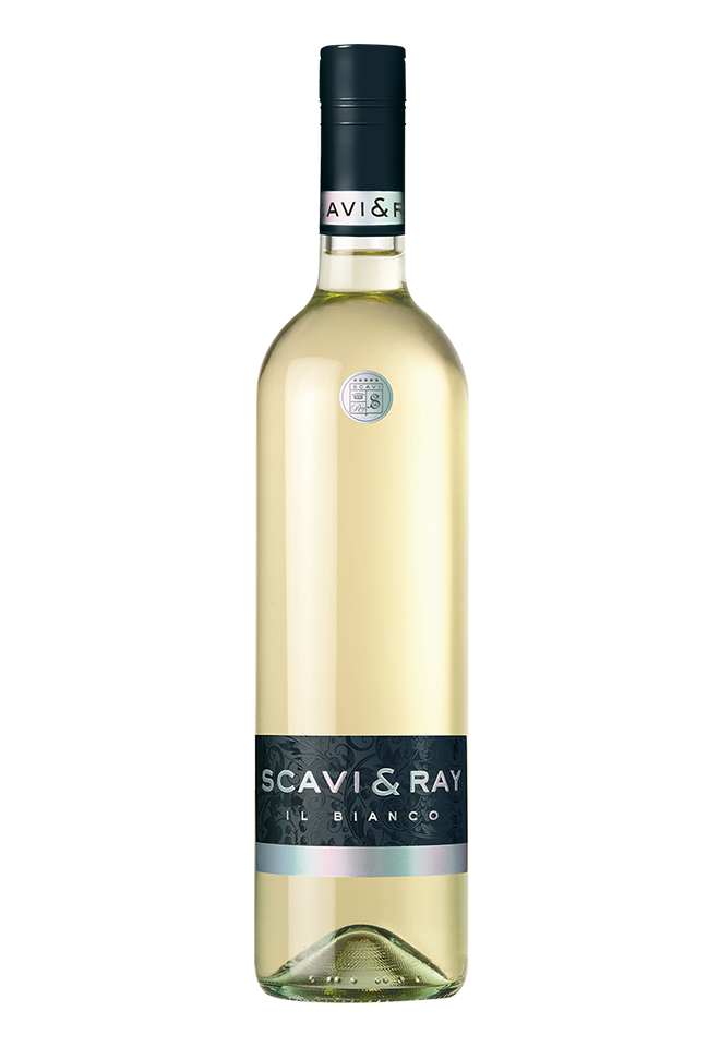 Rượu vang trắng Ý Scavi & Ray IL Bianco